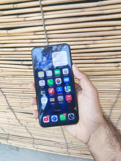 iPhone 11 Pro Max Factory Unlock