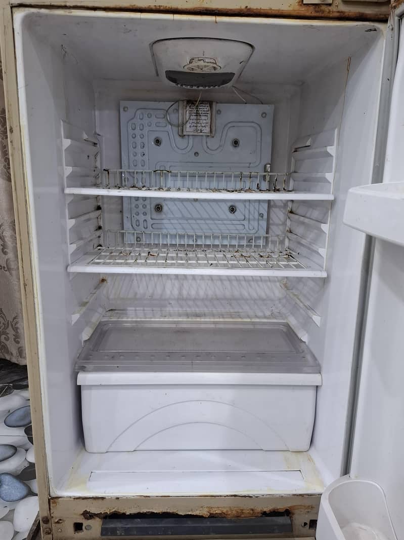 Waves Refrigerator 4