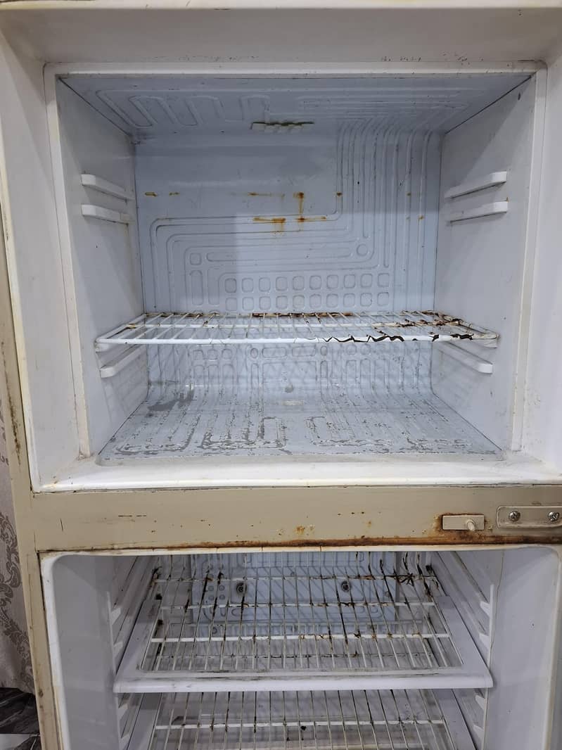 Waves Refrigerator 5