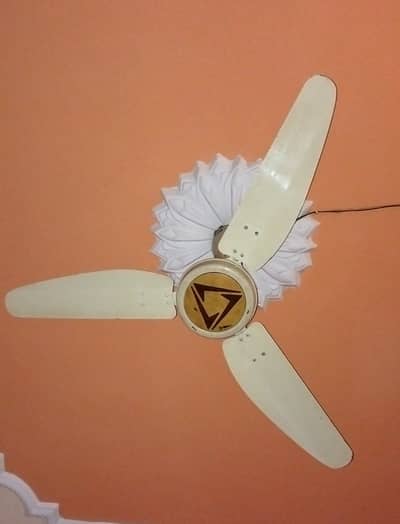 celling fan for sale
