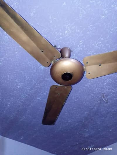 park fane super Asia