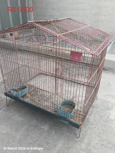 Birds cages