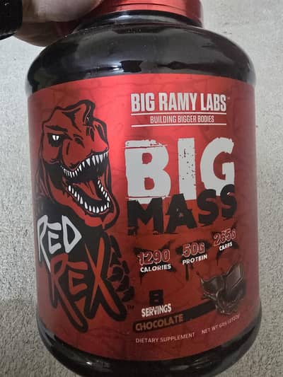 BIG RAMY LABS BIG MASS (MASS GAINER)