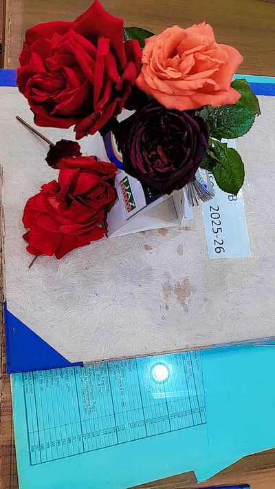 saloon ma cutting ky liyea larka chiya