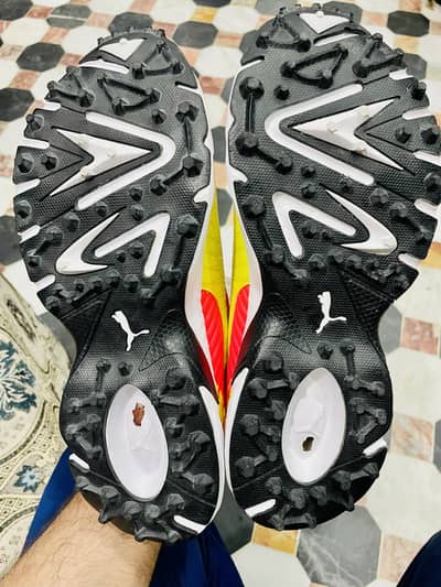 Puma cricket gripper