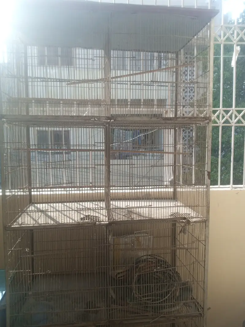 8 protion cage
