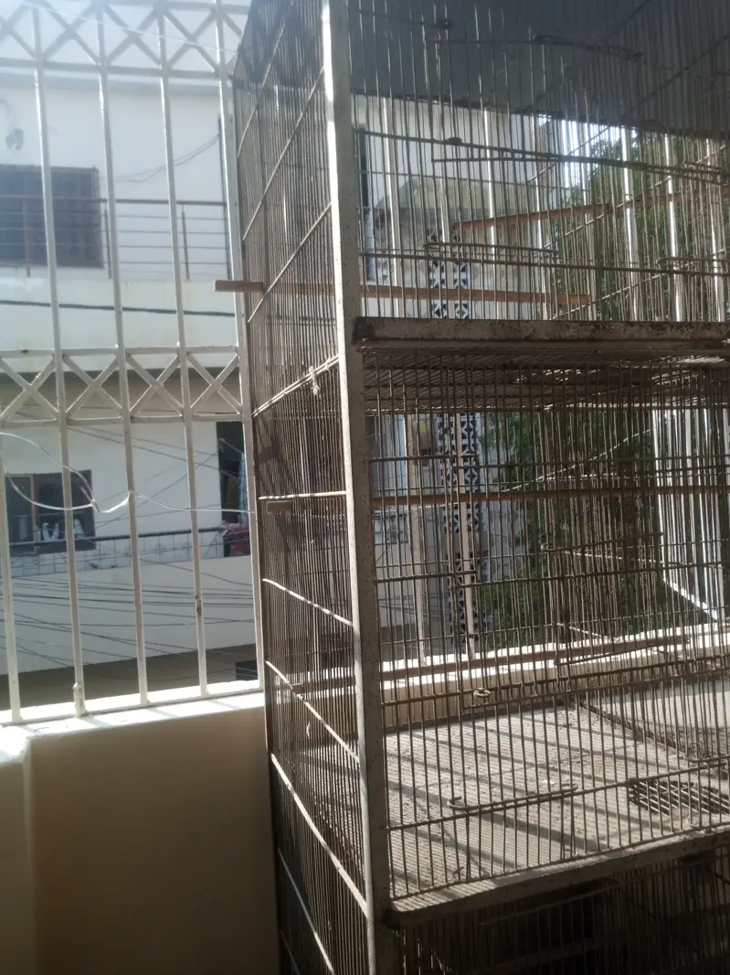 8 protion cage — photo 2