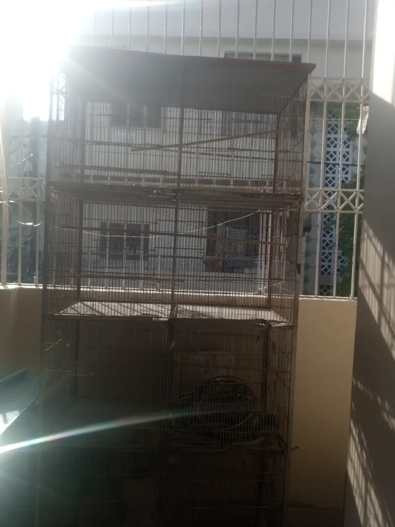 8 protion cage — photo 4