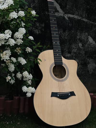 Acoustic guitar Hi Volts AM-01B