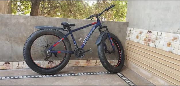Bicycle with heavy duty Tyre