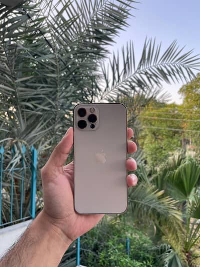 iphone 12 pro PTA approved