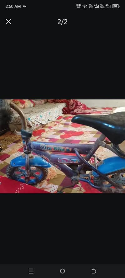 Kids Cycle (16 No)