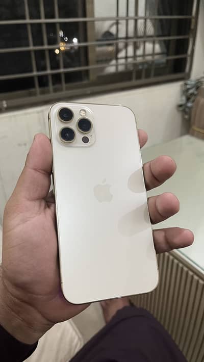 12 PRO MAX DUAL PHYSICAL PTA APPROVED