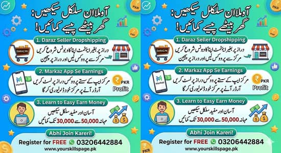 Online dropshipping earn money