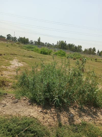 Plot Available For Sale In Royal Homes Azakhel Nowshera