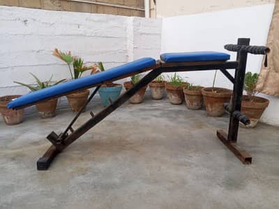 Adjustable Abdominical bench