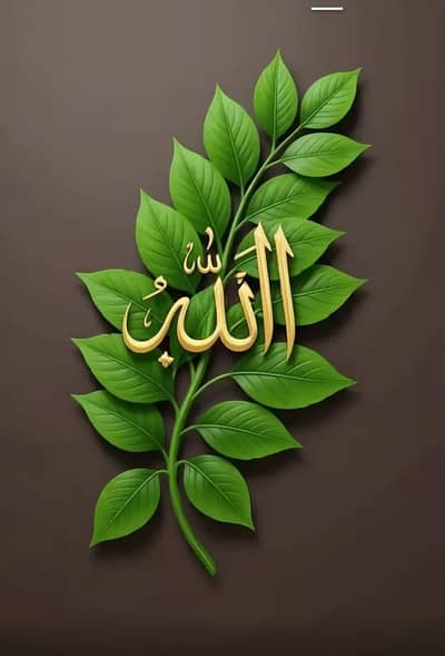 Data Entry Job Available For females only