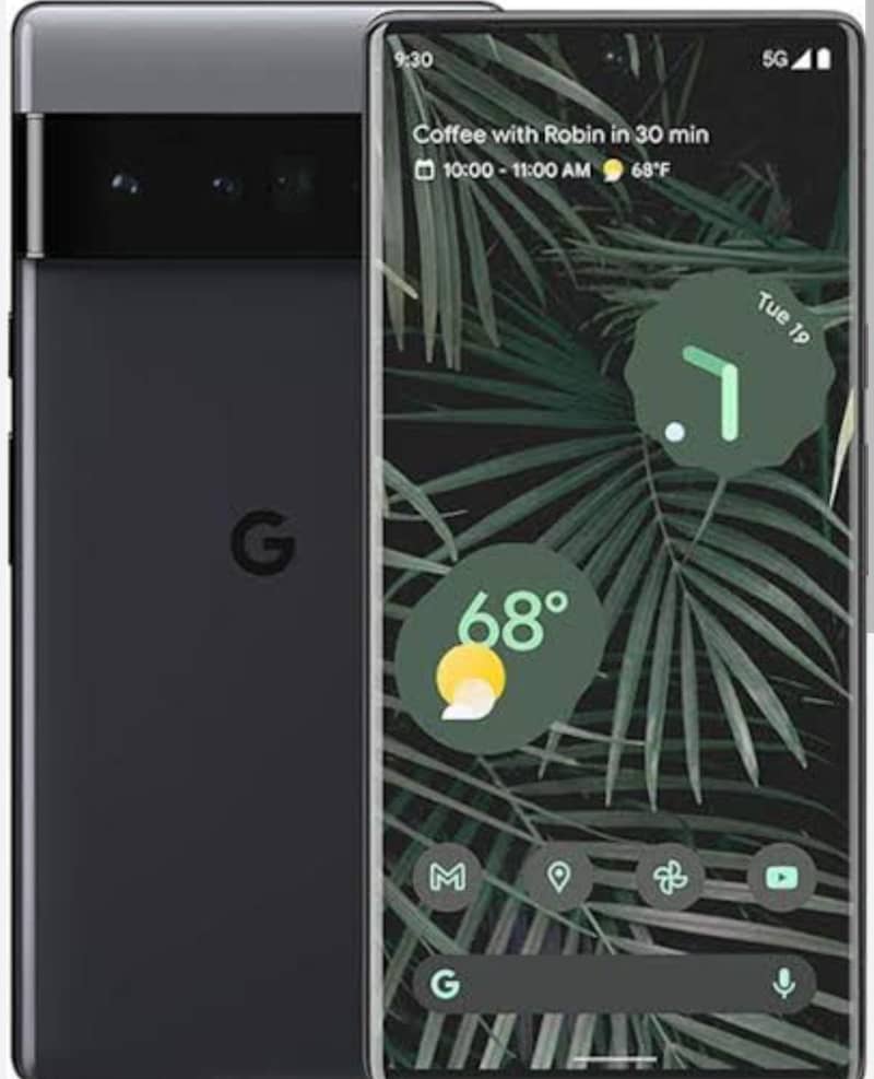 google 6 pro 0