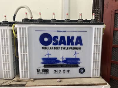 Osaka Tall Tubular batteries for sle