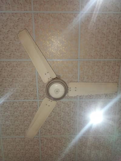 Celling Fan Sale