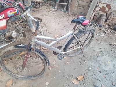 bicycle for sale.