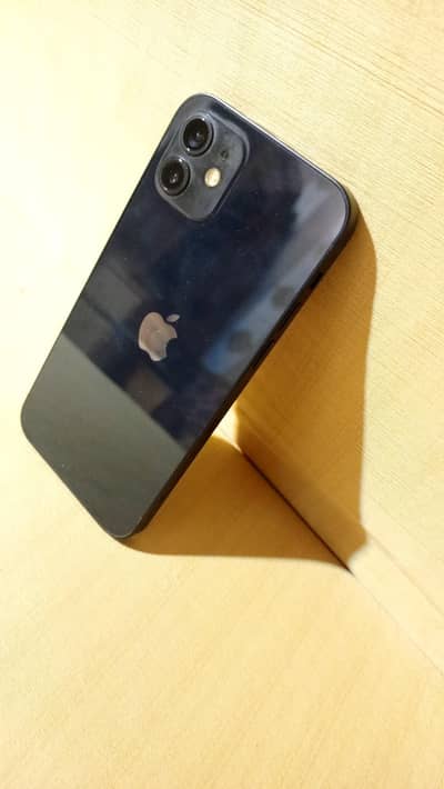 Iphone 12 Black Color