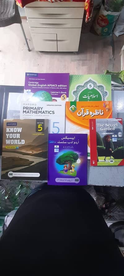 APS Class 5th Books Available   Discription Please