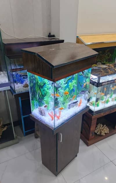 Fish & aquarium munseeb price 03137381622
