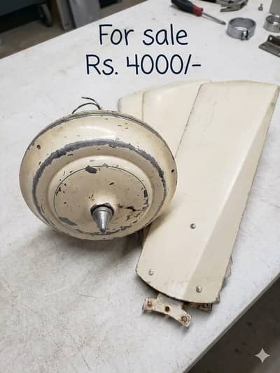 celling fans for sale