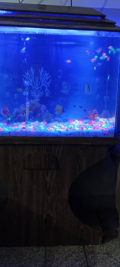 fish aquarium 3*2*1 (8mm Glass)