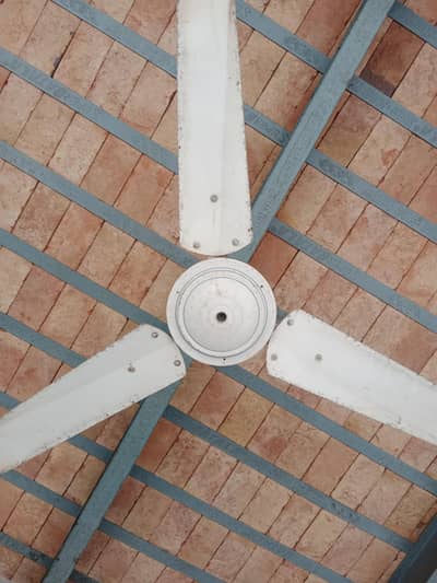 3 fans Urgent for sale