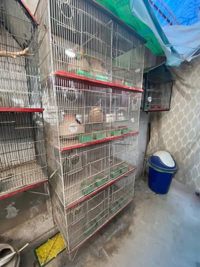 8 Portion Cage