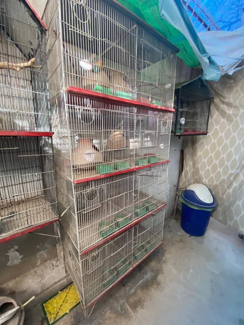 8 Portion Cage 0