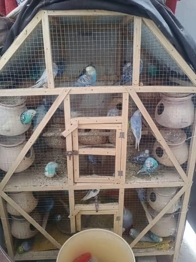 Rs. 350 pr Peace main Ne saray Ek sath Sale karne hain