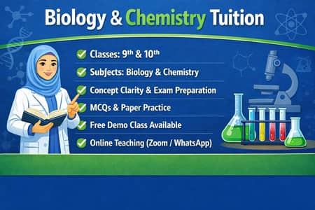 Online tuition to Matric Students