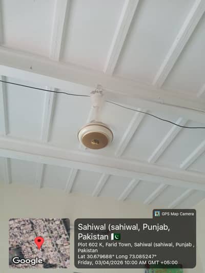 celling fan for sale 03066409100