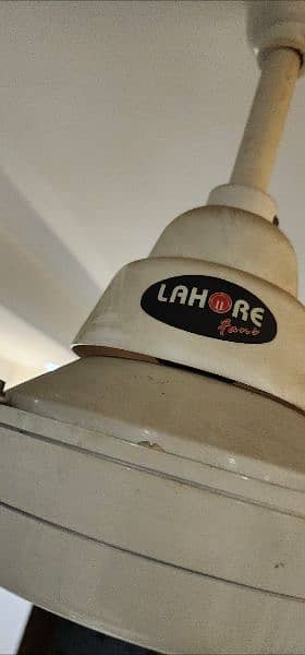 4 Lahore fans