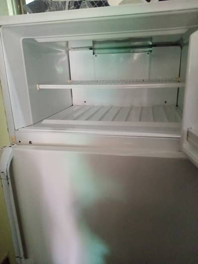 No frost fridge