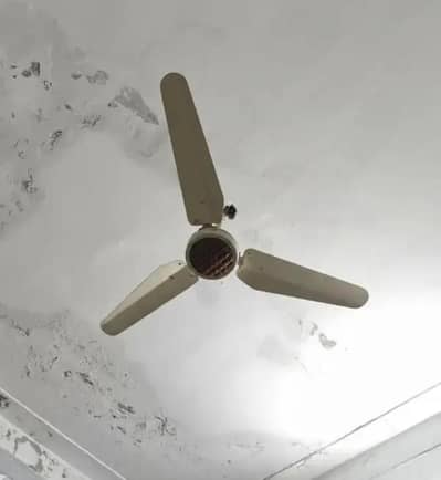 2 Ceiling Fan