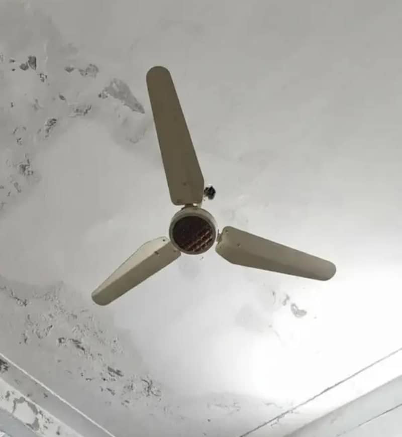 2 Ceiling Fan 0