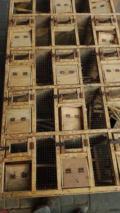 wooden cage 15 portion