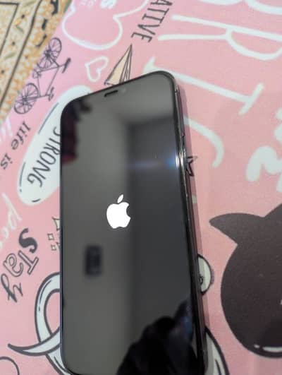 Iphone 12 Pro non pta jv