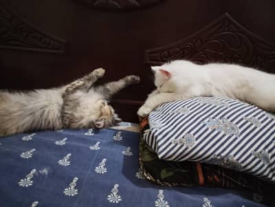 lagi hoi Hy 1 month m bchy dy dy ge