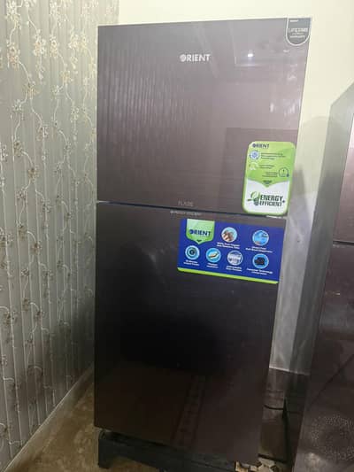 Orient Flare series in lush condition