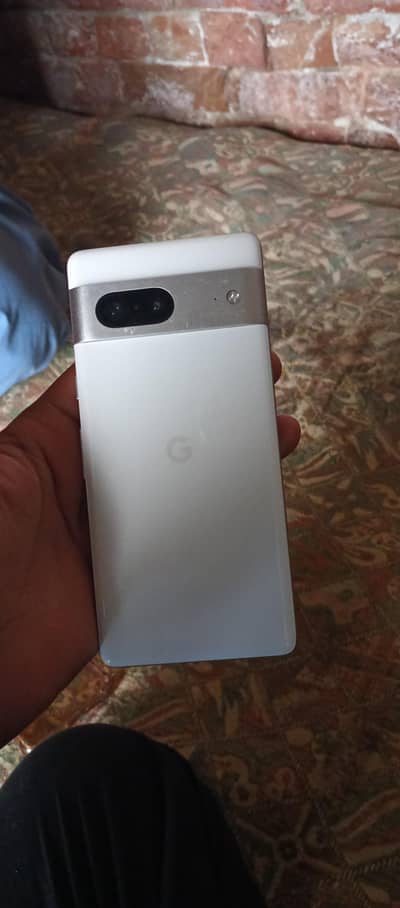 google pixel 7