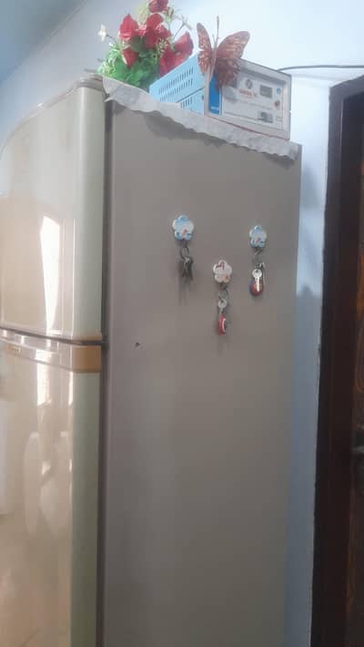 Dawlance large Refrigerator  ( Model  9188D) Class T.