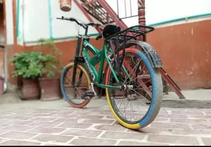 Cycle of a champion And Sale Fast