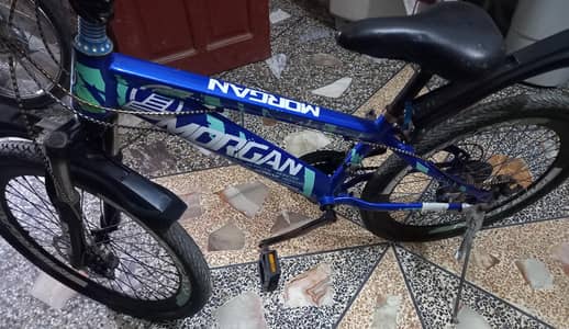 Imported Bicycle Morgan