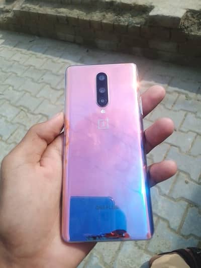 03428798132 whatsapp