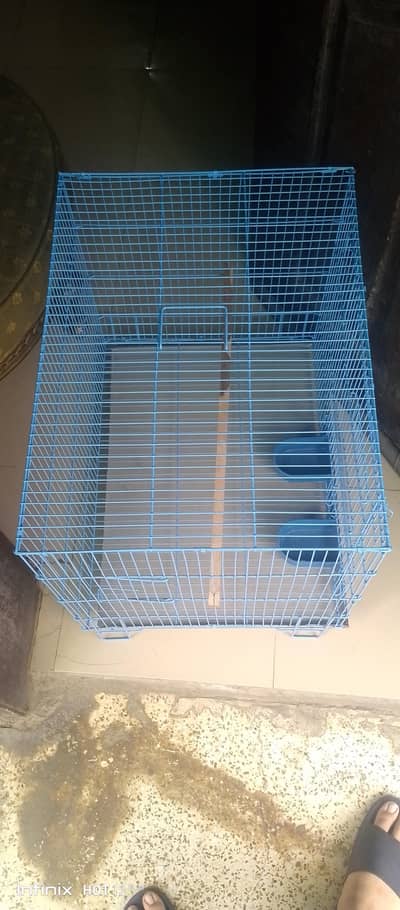 Birda Cage